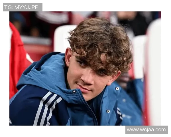 纳斯里从阿森纳天才到职业生涯起伏的传奇旅程与反思